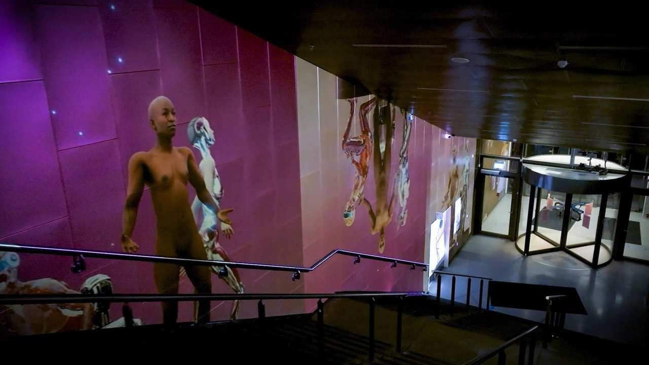 Algorithmic Panopticon — 4