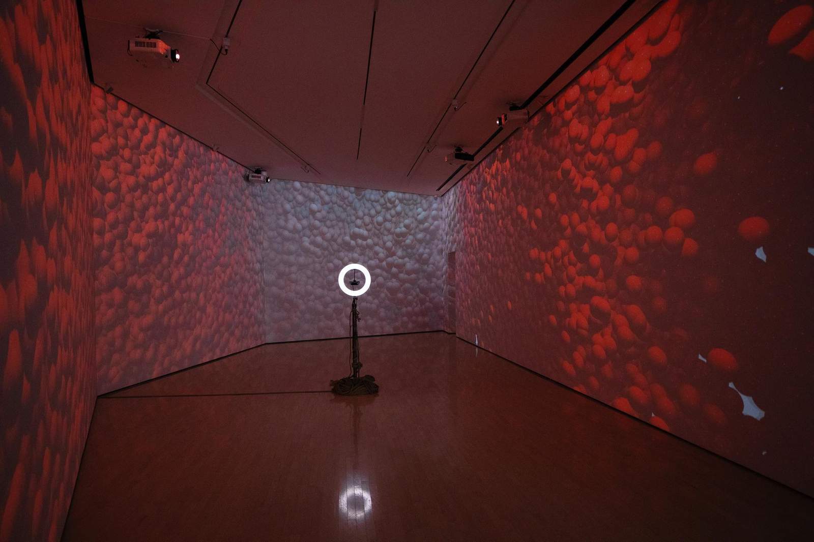 Synthetic Sirens — 2